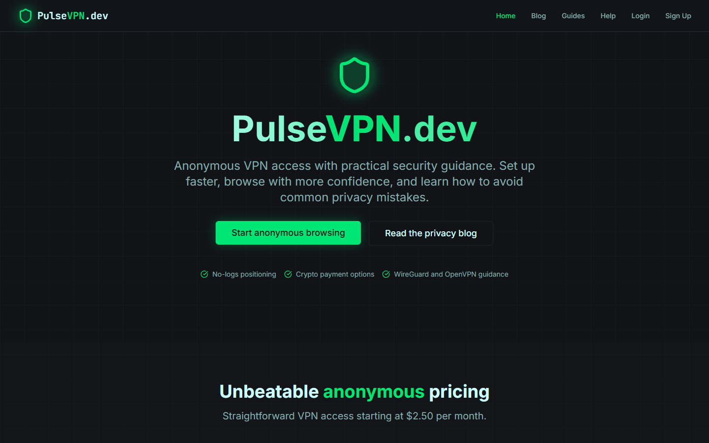 PulseVPN homepage screenshot